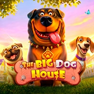 The Big Dog House